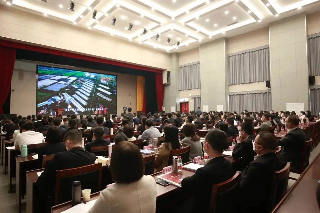 2025今晚澳门开特马开什么详细解答、解释与落实